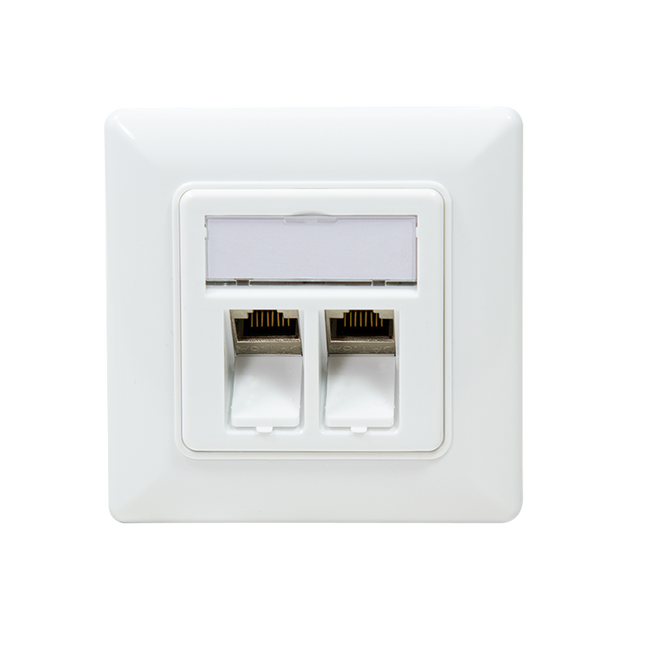 CAT6a keystone flush-mounted box 2-way