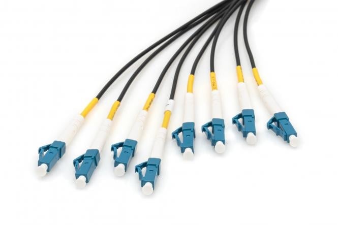 Pre-assembled 100 M Fiberglass Universal Breakout Cable, Single Mode OS2, 8 Fibers, LC/UPC - LC/UPC