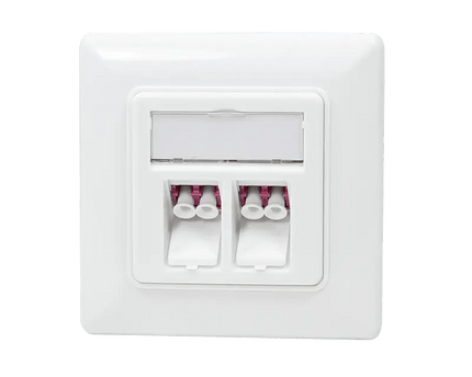 Glasvezel inbouwdoos faceplate 2 - voudig - Networkdiscount.com