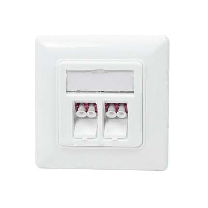 Glasvezel inbouwdoos faceplate 2 - voudig - Networkdiscount.com