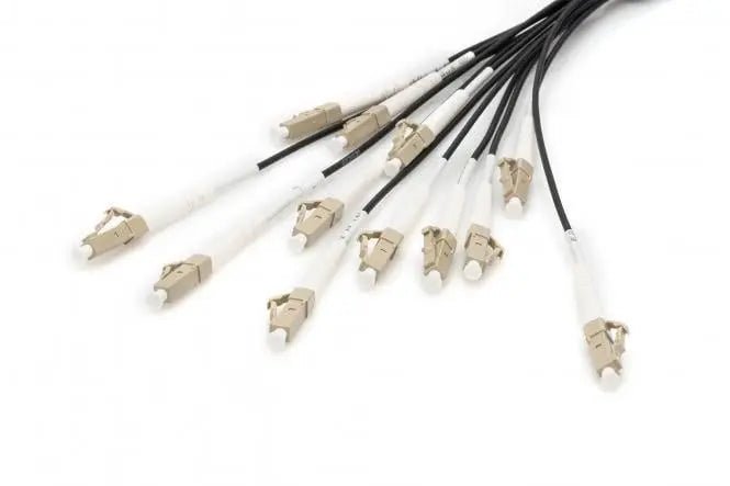 Reeds geassembleerde, 30 M universele breakout glasvezelkabel, multimode OM4, 12 vezels, LC/UPC - LC/UPC - Networkdiscount.com